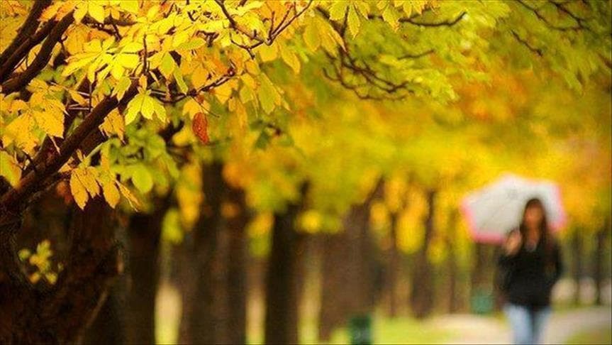 🍂 خريف الألوان: موسم التأمل، الصحة، والاقتناء الذكي
