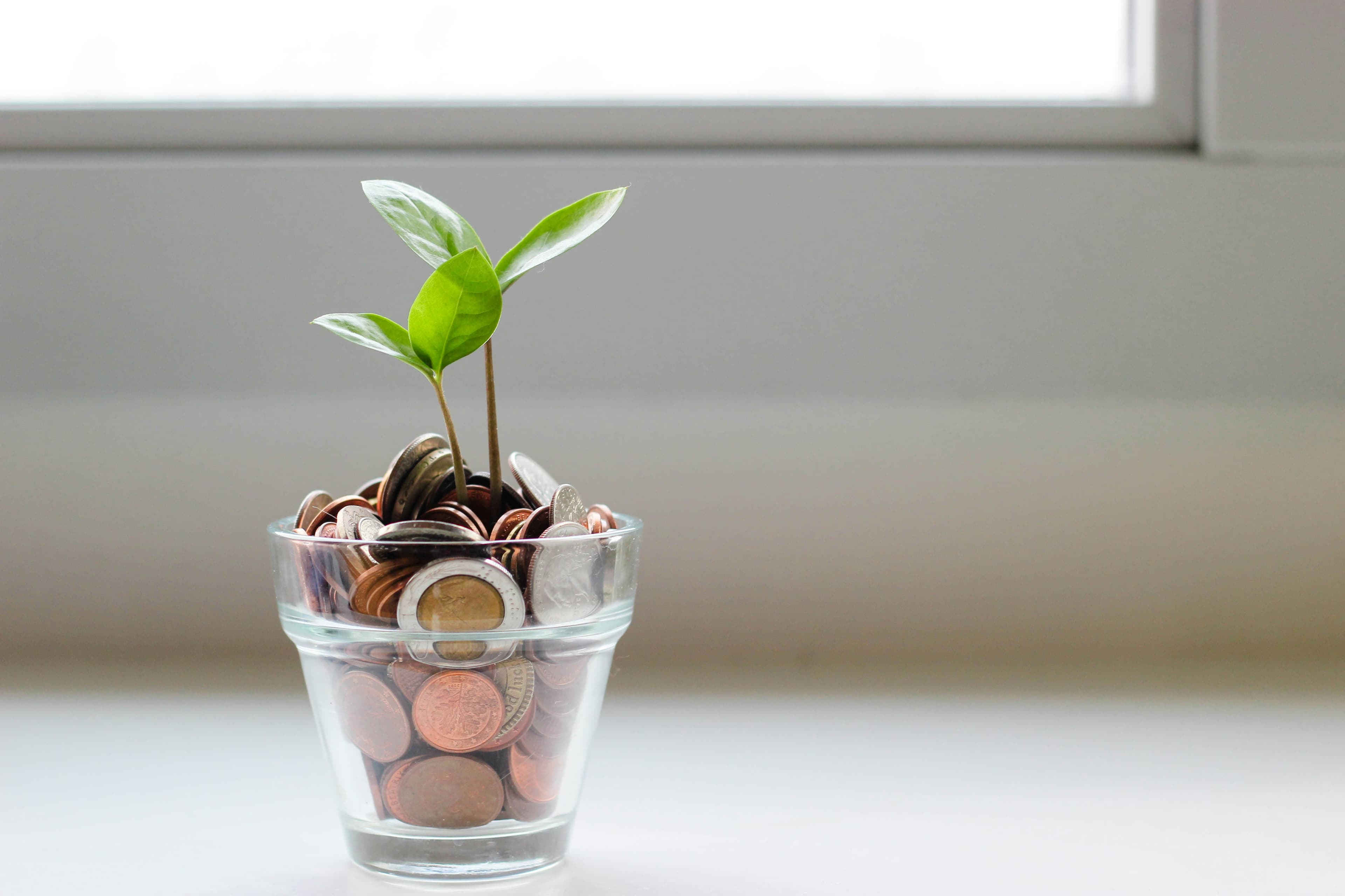 ادخر بذكاء: سر لا يخبرك به أحد عن إدارة ميزانيتك